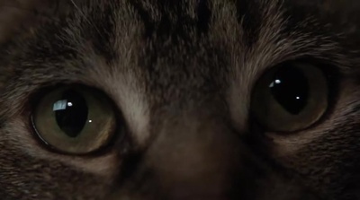 人鬼情未了剧照的剧照