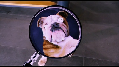 我的新野蛮女友剧照的剧照