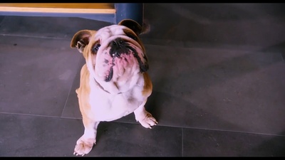 我的新野蛮女友剧照的剧照