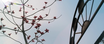 可爱的你剧照的剧照