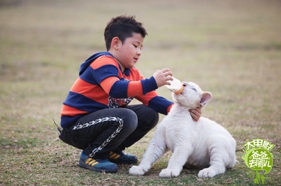 爸爸去哪儿剧照的剧照