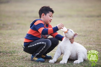 爸爸去哪儿剧照的剧照