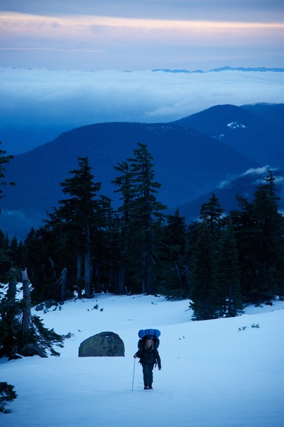 涉足荒野剧照的剧照