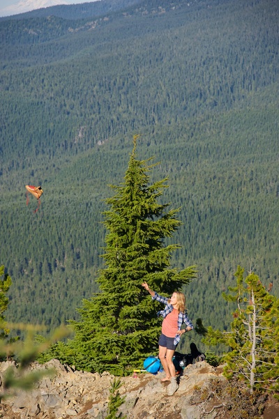 涉足荒野剧照的剧照