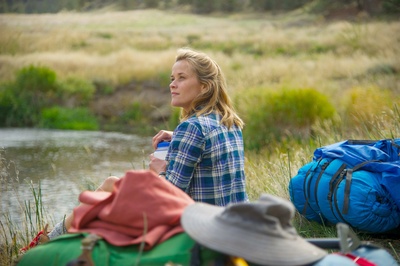 涉足荒野剧照的剧照