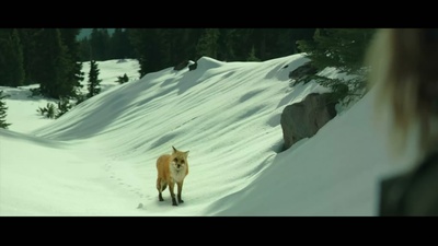 涉足荒野剧照的剧照