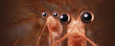 快乐的大脚2剧照的剧照