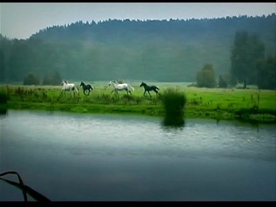 惊变28天剧照的剧照