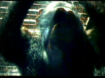 惊变28天剧照的剧照