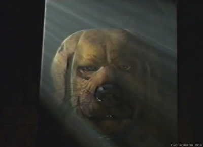 生化危机4D：执行者剧照的剧照