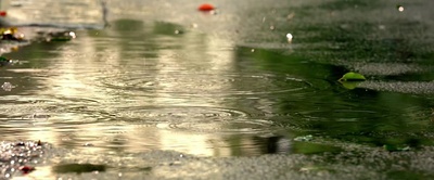 十七岁剧照的剧照