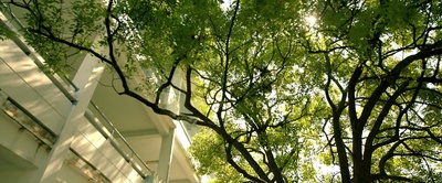 十七岁剧照的剧照