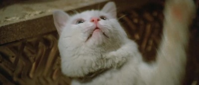 六指琴魔剧照的剧照