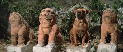 六指琴魔剧照的剧照