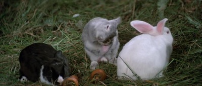 六指琴魔剧照的剧照