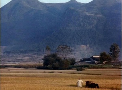 菊豆剧照的剧照