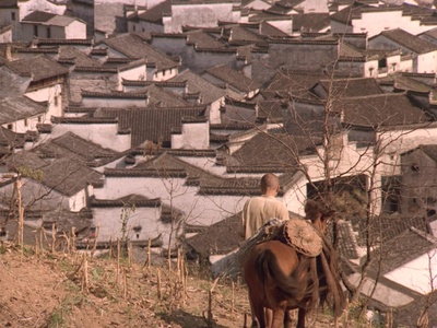 菊豆剧照的剧照