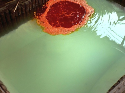 菊豆剧照的剧照