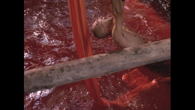 菊豆剧照的剧照