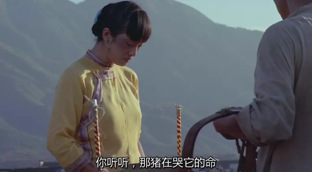 菊豆剧照的剧照