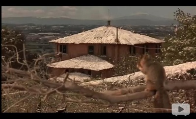 托斯卡纳艳阳下剧照的剧照