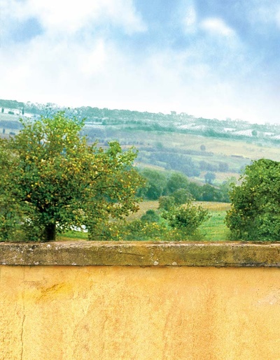 托斯卡纳艳阳下剧照的剧照