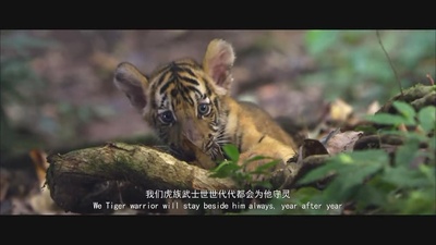 铁血娇娃剧照的剧照