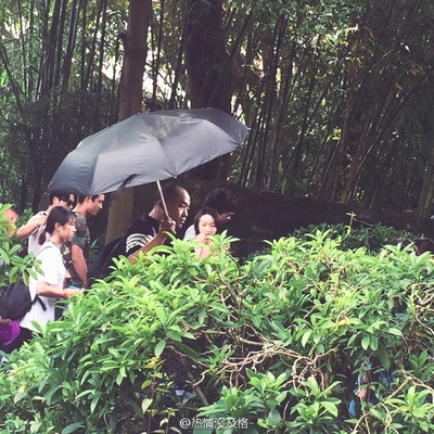 迷妹罗曼史剧照的剧照