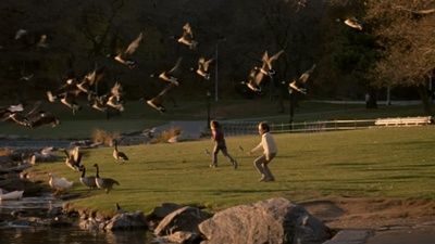 弦动我心剧照的剧照