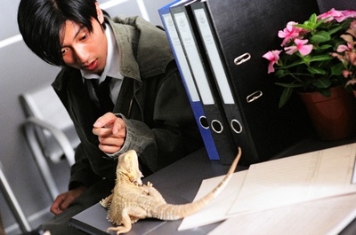 新警察故事剧照的剧照