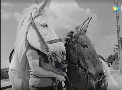 于洛先生的假期剧照的剧照