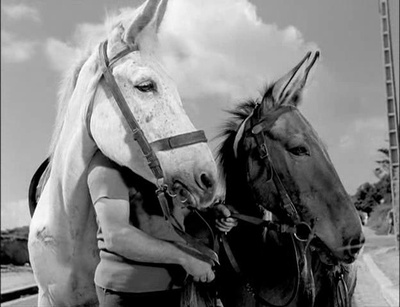 于洛先生的假期剧照的剧照