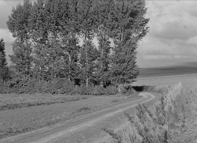 于洛先生的假期剧照的剧照