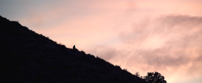 孤独的幸存者剧照的剧照