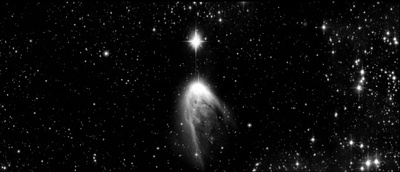 蛇之拥抱剧照的剧照