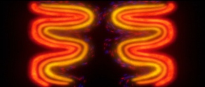 蛇之拥抱剧照的剧照