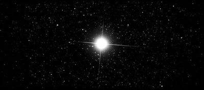 蛇之拥抱剧照的剧照