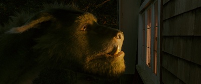 彼得的龙剧照的剧照