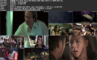 全城戒备剧照的剧照