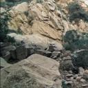 林克的暗影剧照