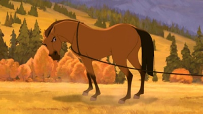 小马王剧照的剧照