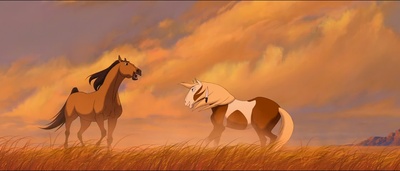 小马王剧照的剧照