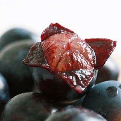 异形剧照的剧照