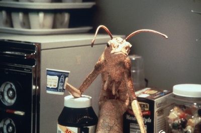 黑衣人剧照的剧照