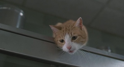 黑衣人剧照的剧照