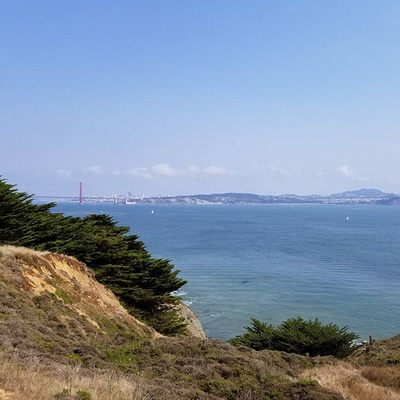 大黄蜂剧照的剧照