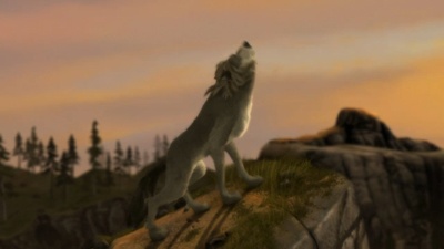 丛林有情狼剧照的剧照