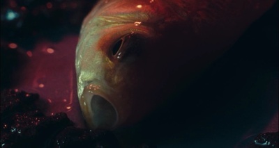 全面回忆剧照的剧照