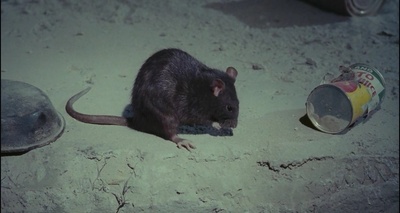 全面回忆剧照的剧照