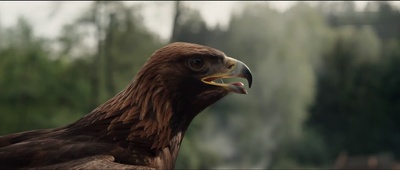 赛琳娜剧照的剧照